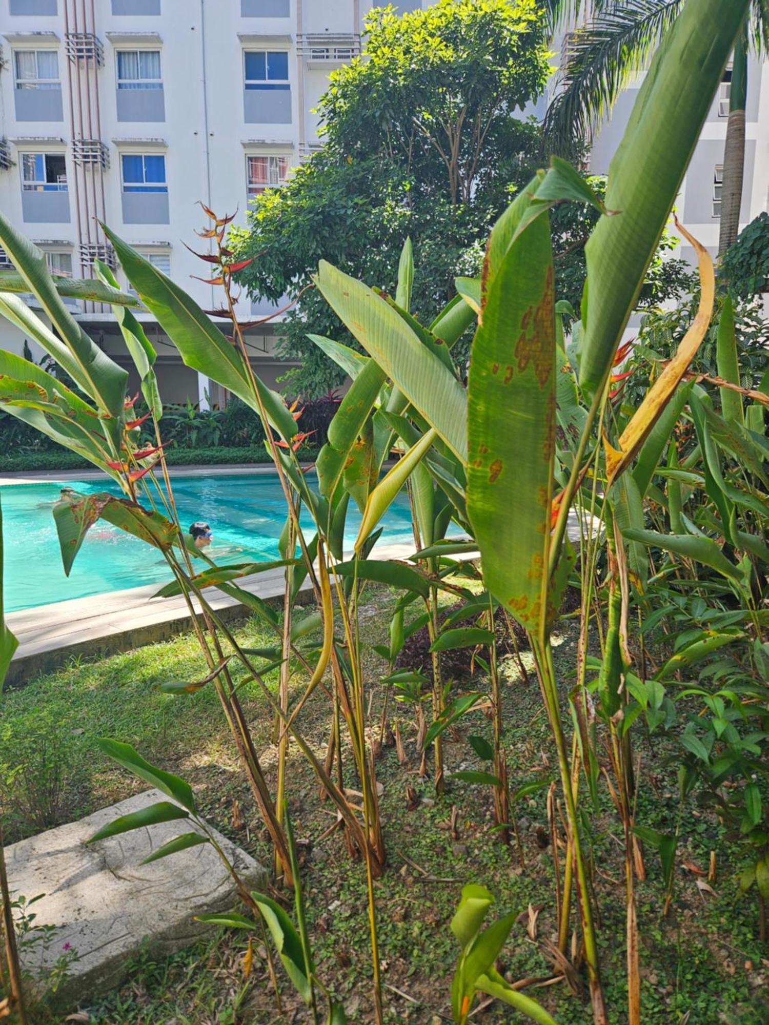 2-Bedroom Boutique City Condo - Newly Renovated! Cebu Εξωτερικό φωτογραφία